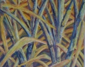 DETAIL DE CANNE - VEGETATION ET  FLEURS
