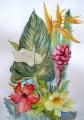 BOUQUET - VEGETATION ET  FLEURS