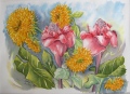 ROSES DE PORCELAINES ET TOURNESOLS - VEGETATION ET  FLEURS