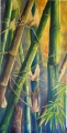 BAMBOUS1 - VEGETATION ET  FLEURS