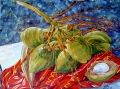 COCOS 2 - NATURE EN COULEUR