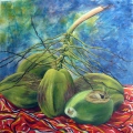 COCOS 1 - NATURE EN COULEUR