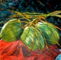 COCOS SUR ROUGE - NATURE EN COULEUR