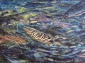 SEICHE EN MER - MER ET VIE