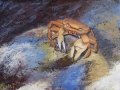 LA TERRE - AUDACES
