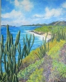 CAP MACRE - ETE  2012