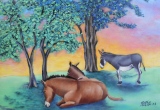 MULES AU REPOS - ETE 2019