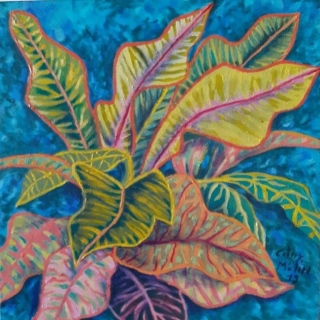 CROTONS - OEUVRES DES ANTILLES TOUJOURS DISPO