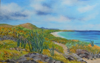 COTE ATLANTIQUE MARTINIQUE - OEUVRES DES ANTILLES TOUJOURS DISPO